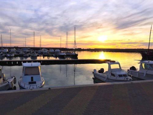 Viole Di Mare Guest House San Leone Zewnętrze zdjęcie